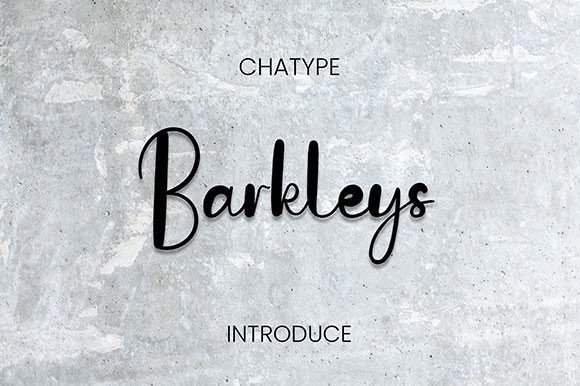 Barkleys: The Handwritten Script Font for Polished Web Design