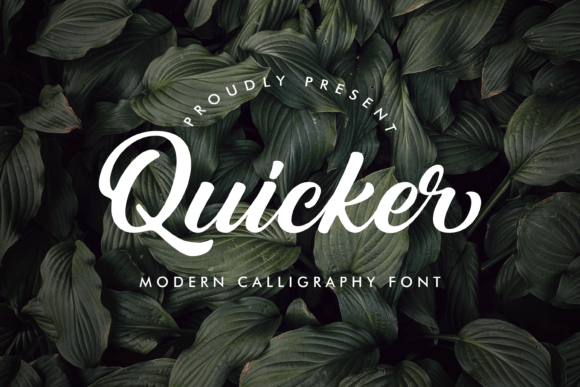 Quicker: The Playful Script Font for Modern Web Design