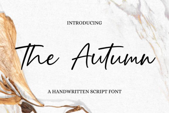 The Autumn: A Graceful Script Typeface for Modern Web Design